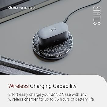 Amazon.com: Status Between 3ANC Onyx True Active Noise